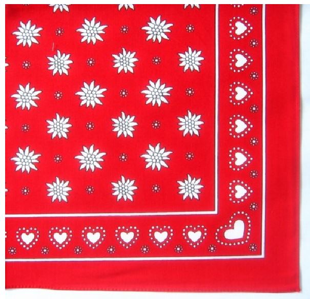 21-0008-05-Nickituch-Edelweiss-und-Herzen-rot