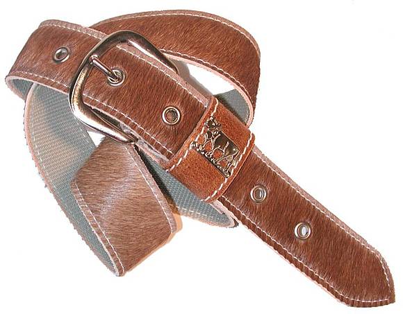 2364F_Schweizer-Braunvieh