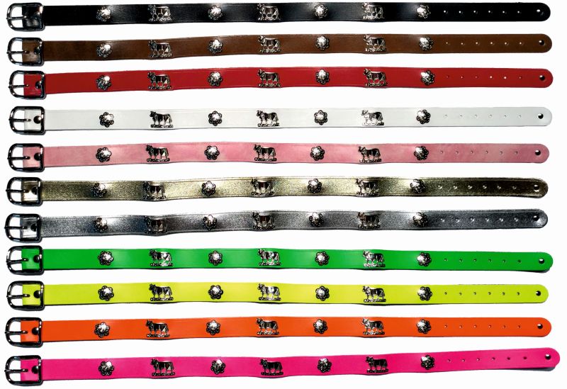 Appenzeller Kinder-Gürtel, 2.5cm breit, Leder