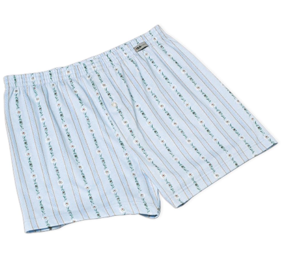 110019-0031_Boxershort-Schwinger-hellblau