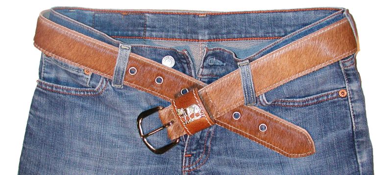 2364F_mit_Hose_schweizer-braunvieh