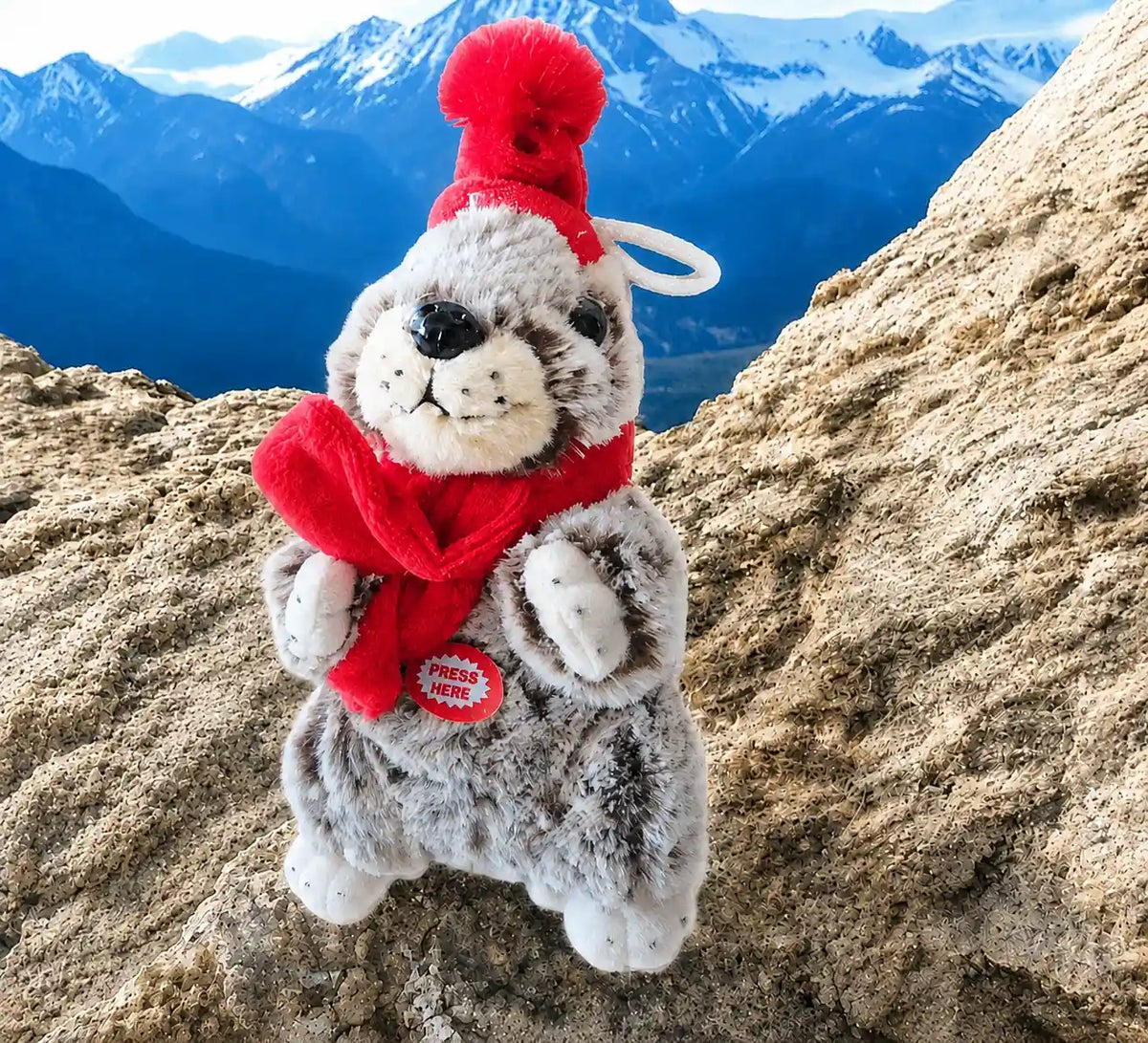 Ideales Geschenk für Kinder in der Schweiz