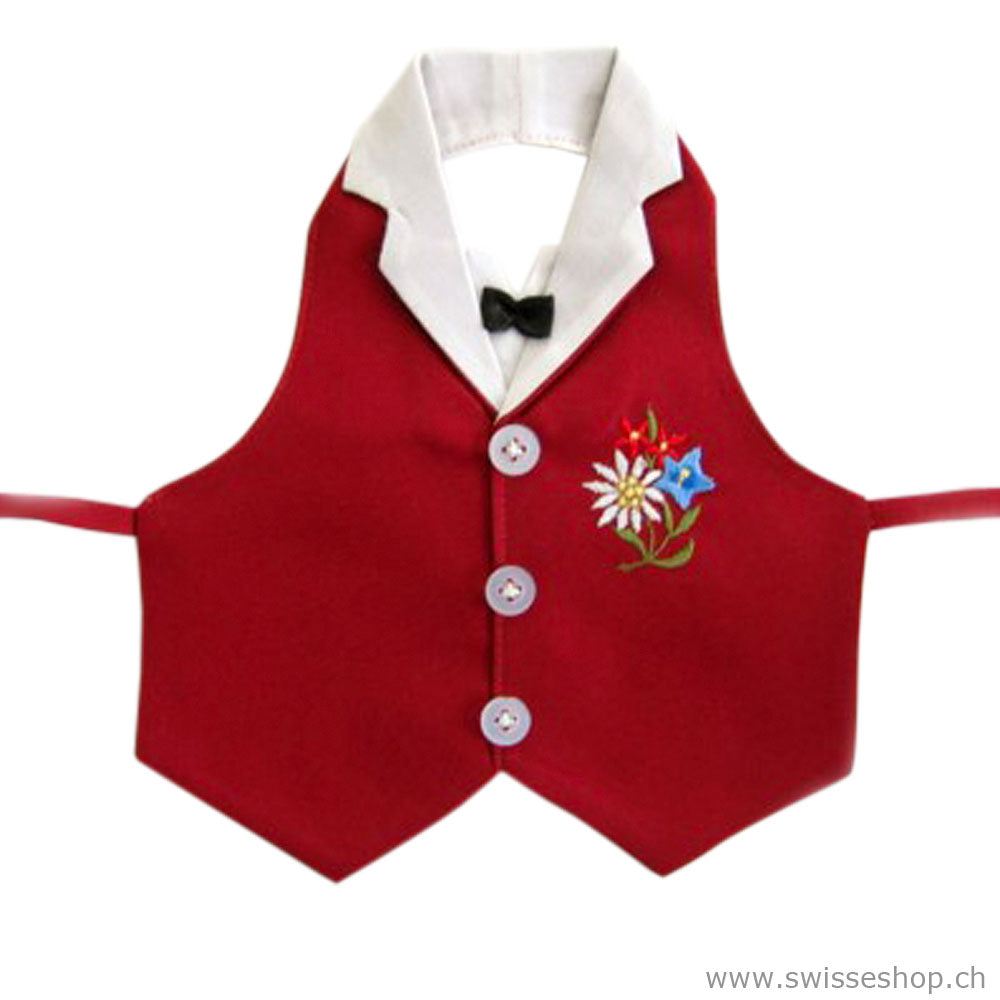 weinflasche_dekoration_schweizer_alpenblumen_837513