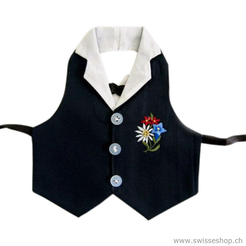 weinflasche_dekoration_schweizer_alpenblumen_837506